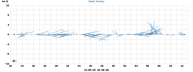 Wind Vector